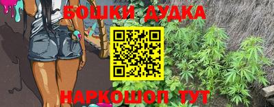 гашик Бийск