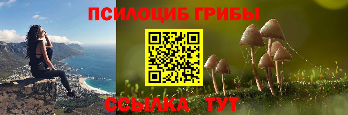 Камышлов  Псилоцибиновые грибы Psilocybe  Вход с VPN 