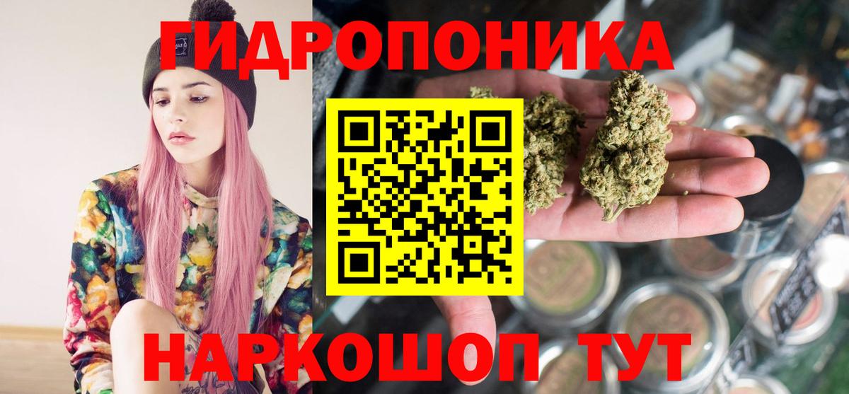 МАРИХУАНА VHQ  Вход с VPN  Камышлов  Бошки Шишки сатива 